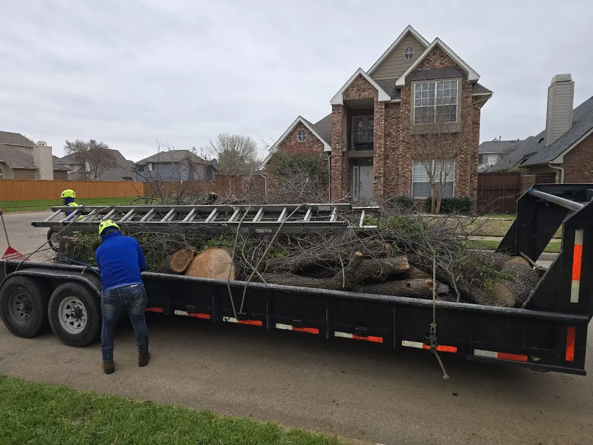 Expert Tree Fertilization with proper safety equipment in Oakley